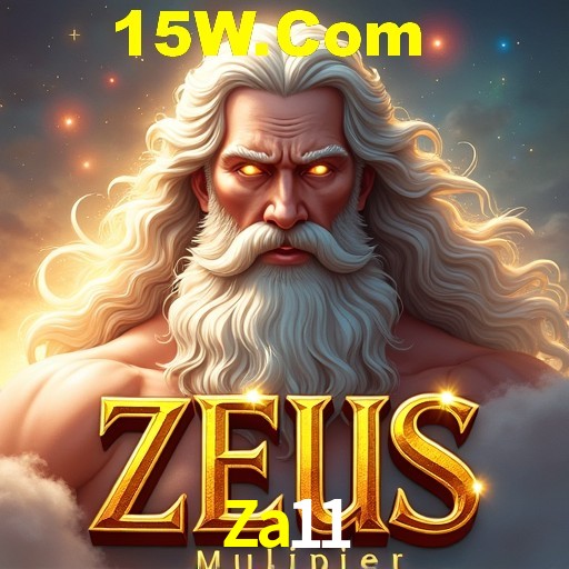 Flash Promotion Za11